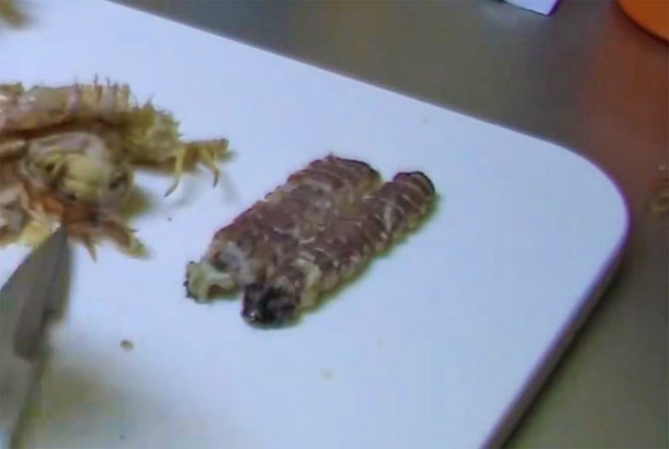 日本海鲜料理有哪些：北海道小樽皮皮虾寿司