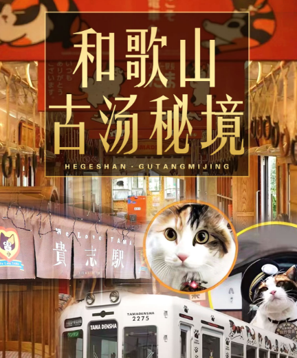 [初游首选]日本和歌山本州温泉6日 探秘小众秘境 全日空航空 五星酒店 
