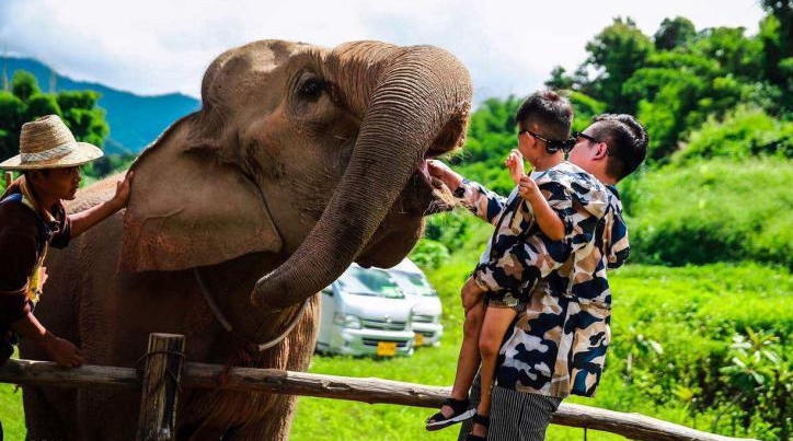 假期群里玩|带孩子去哪里玩|带老人去哪里玩|西双版纳6日游
