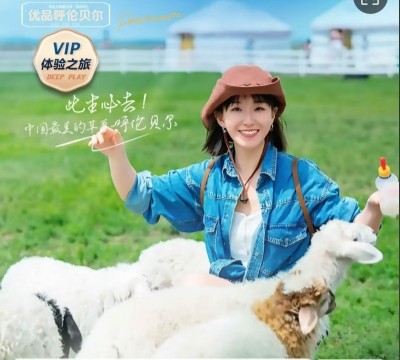 暑期草原推荐-呼伦贝尔大草原 白桦林 室韦 额尔古纳湿地 满洲里6日游