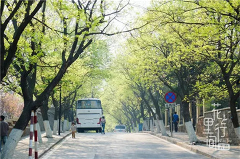 青岛旅游必尝美食_青岛旅游不能错过的美食推荐_青岛青年国旅